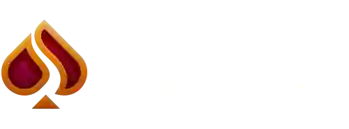 partyscasinologin