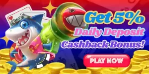 5% daily Cashback bonus