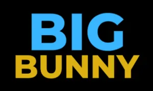 bigbunny